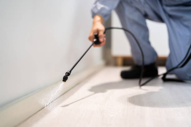 Licensed Termite Control service in Chanute, KS - Nex Pest Control