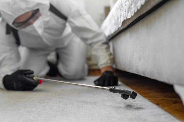 Professional Termite Control technician working in Chanute, KS