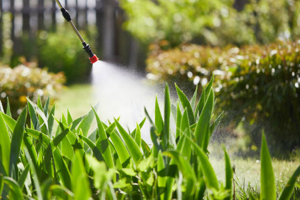 24/7 Emergency Termite Control experts in Chanute, KS