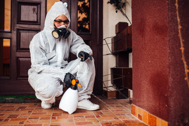 Reliable Termite Control contractor in Chanute, KS by Nex Pest Control