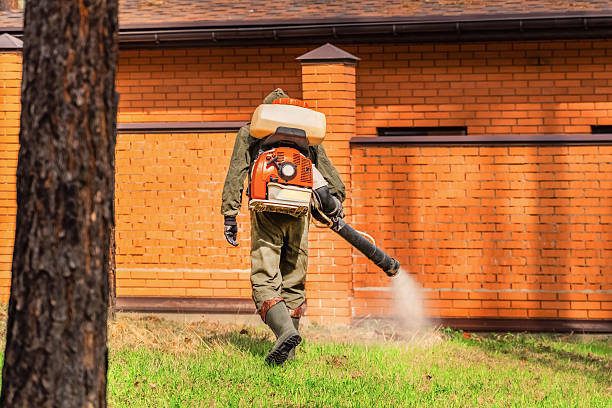 Top rated local Termite Control specialists in Chanute, KS